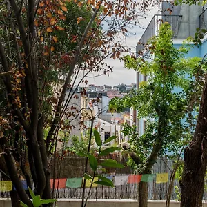 Lost :: Avenida House Guest house